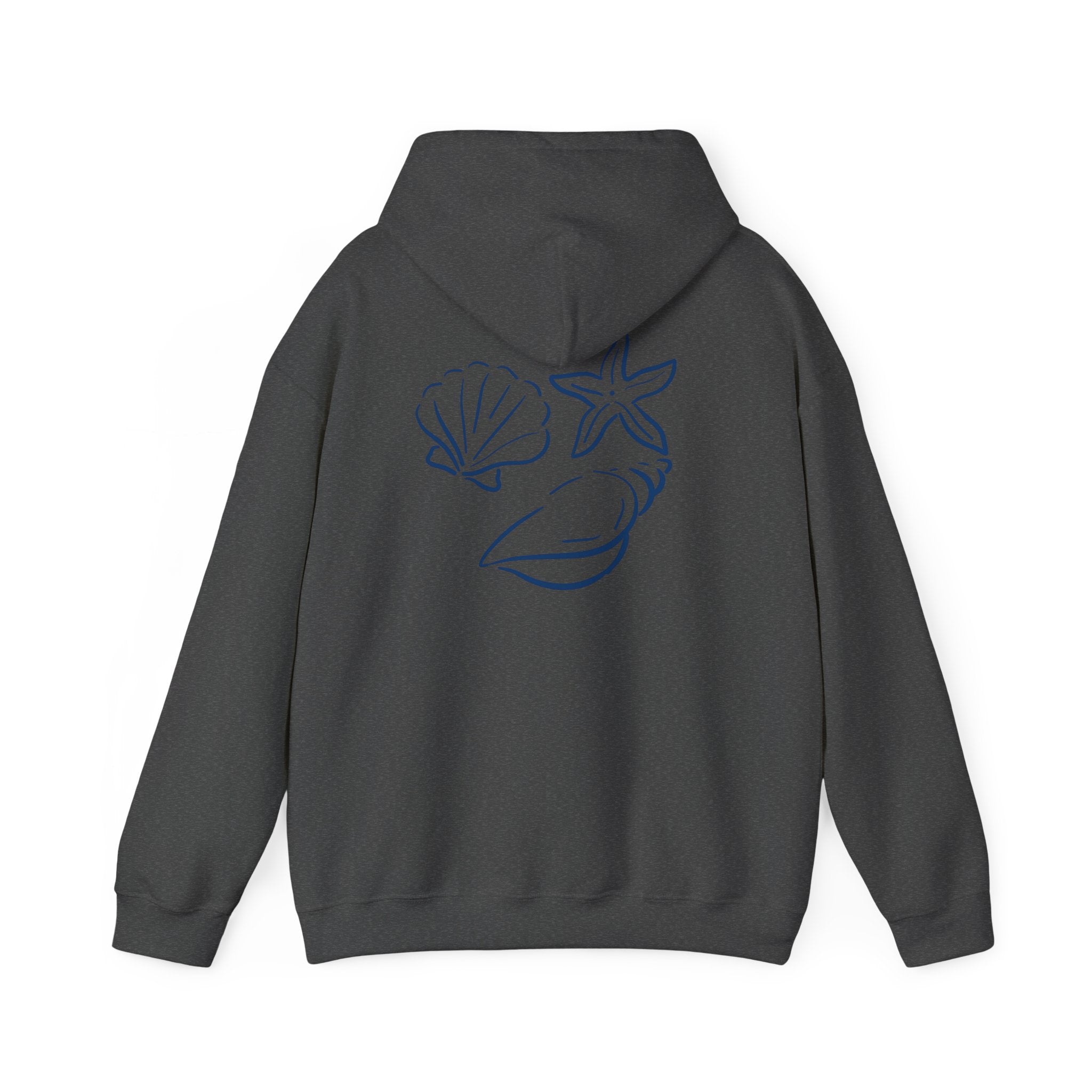 Seashell Sketch Hoodie — Coastal Vibes Graphic Hoodie ("Coastal Cloud" Chest Text)