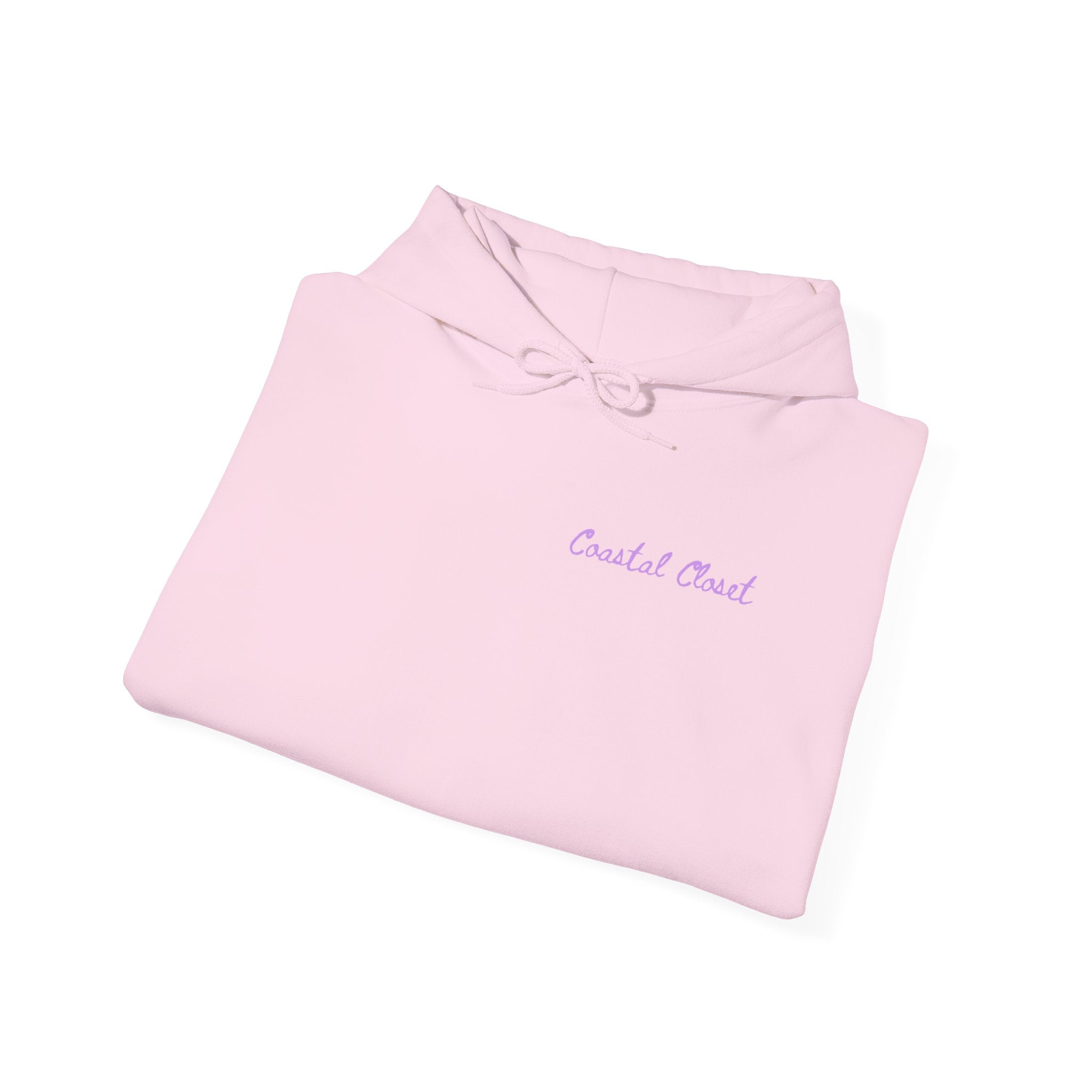 Seashell Sketch Hoodie — Coastal Vibes Graphic Hoodie ("Coastal Cloud" Chest Text)