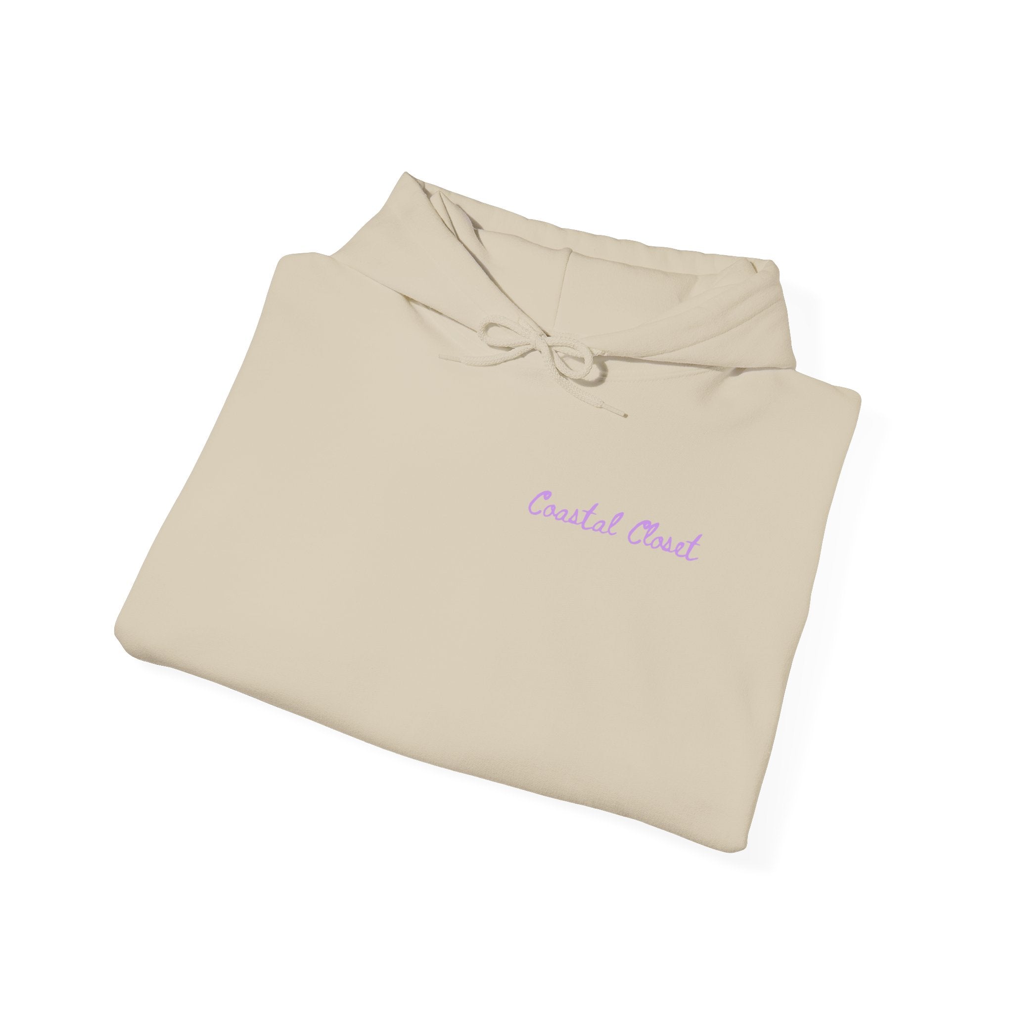 Seashell Sketch Hoodie — Coastal Vibes Graphic Hoodie ("Coastal Cloud" Chest Text)