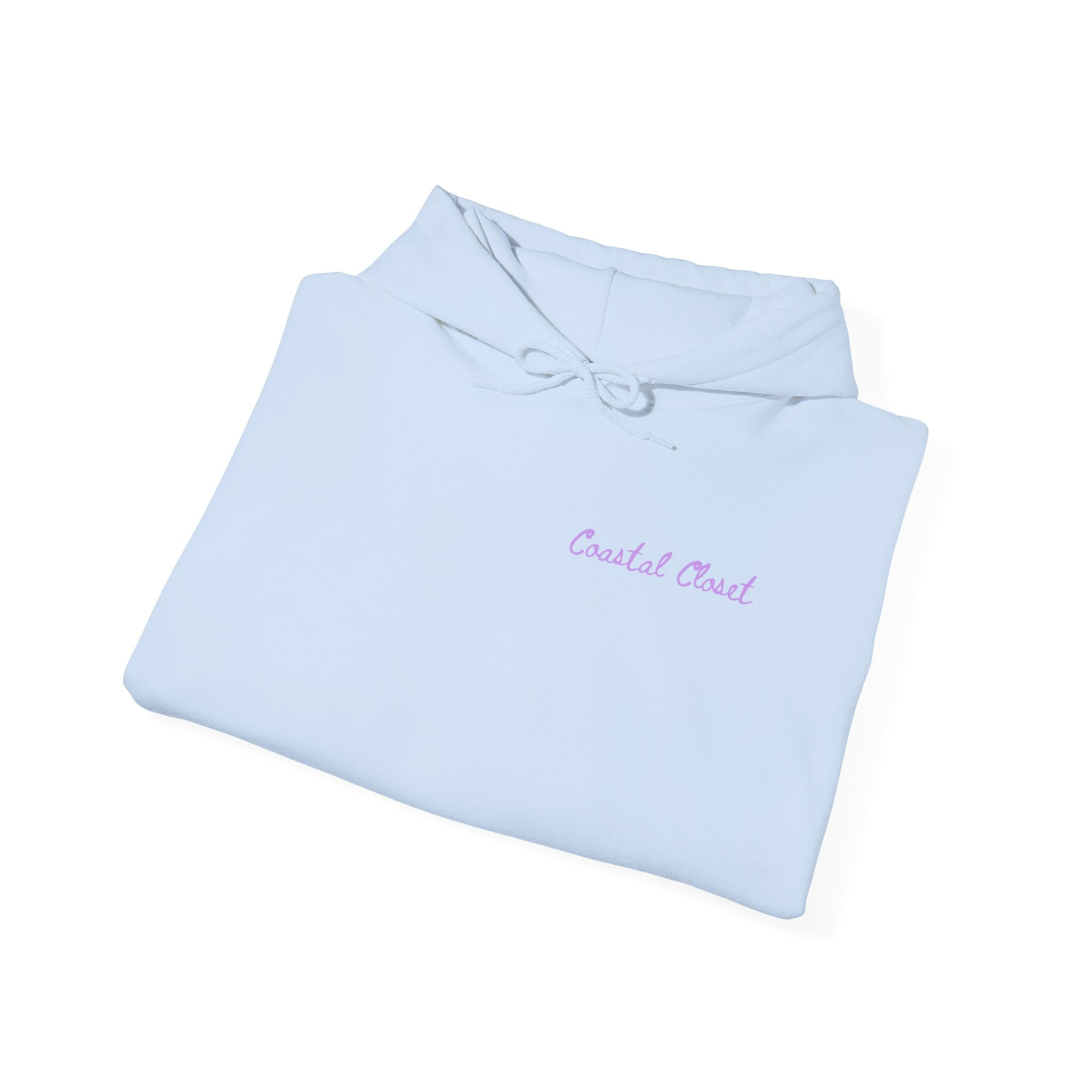 Seashell Sketch Hoodie — Coastal Vibes Graphic Hoodie ("Coastal Cloud" Chest Text)