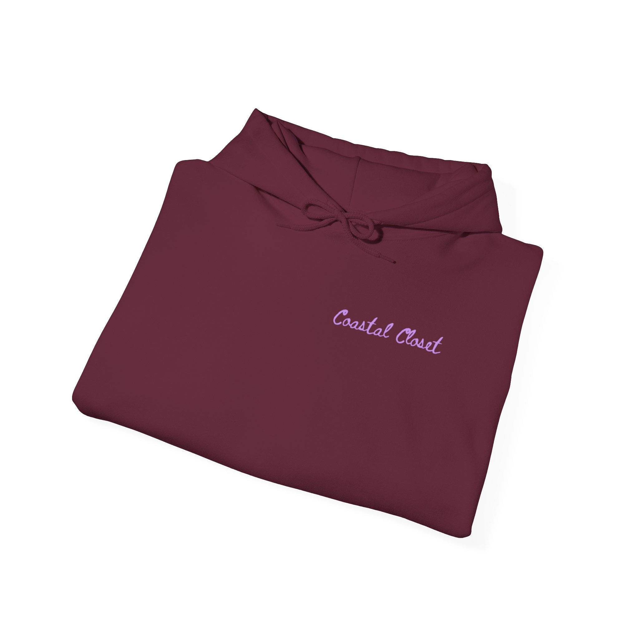 Seashell Sketch Hoodie — Coastal Vibes Graphic Hoodie ("Coastal Cloud" Chest Text)