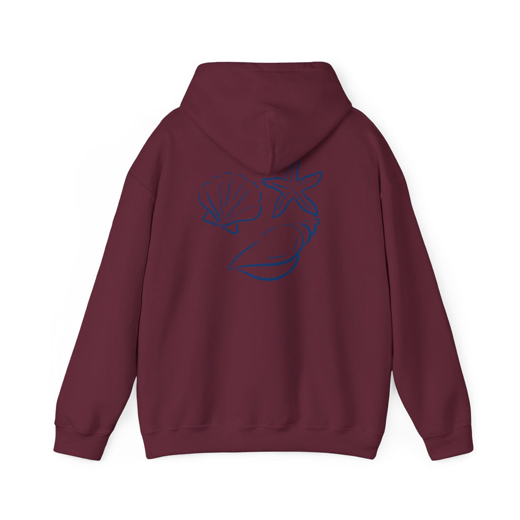 Seashell Sketch Hoodie — Coastal Vibes Graphic Hoodie ("Coastal Cloud" Chest Text)